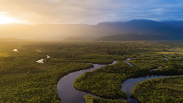 “Luces, Cámara y Región”: cuando la política se cuenta desde el territorio